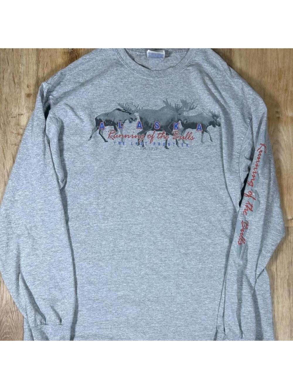 Y2K Alaska Long Sleeve Tee – Grey (L)